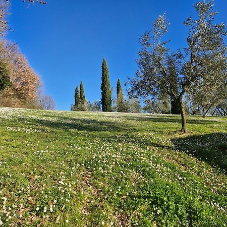 Agriturismo Val Della Pieve Anghiari Exterior photo