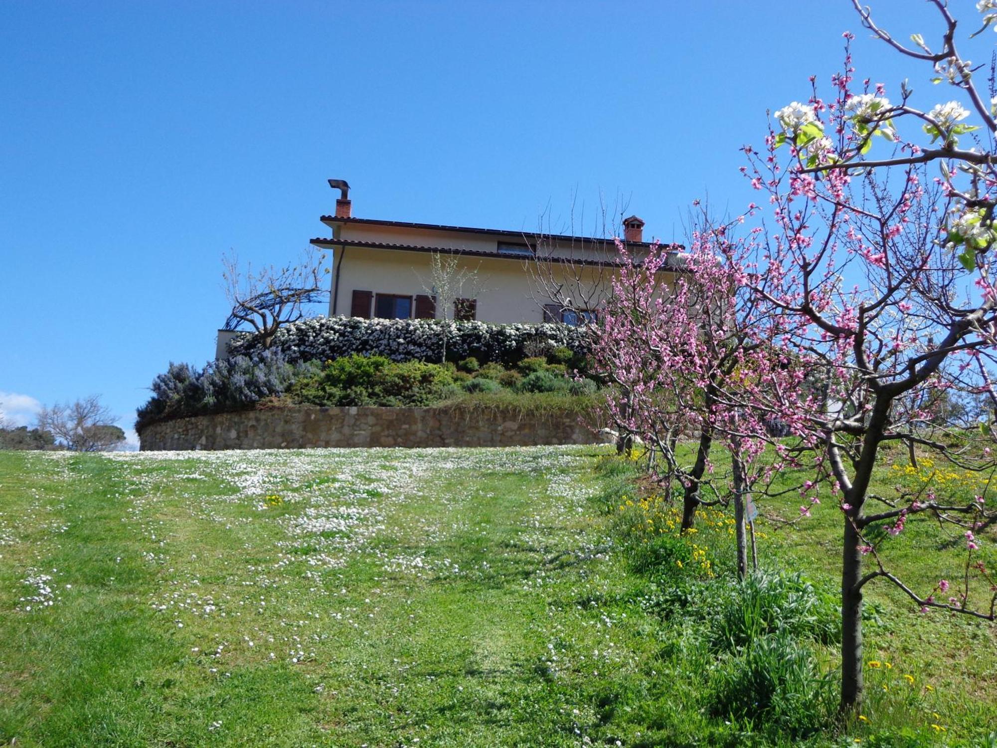 Agriturismo Val Della Pieve Anghiari Exterior photo