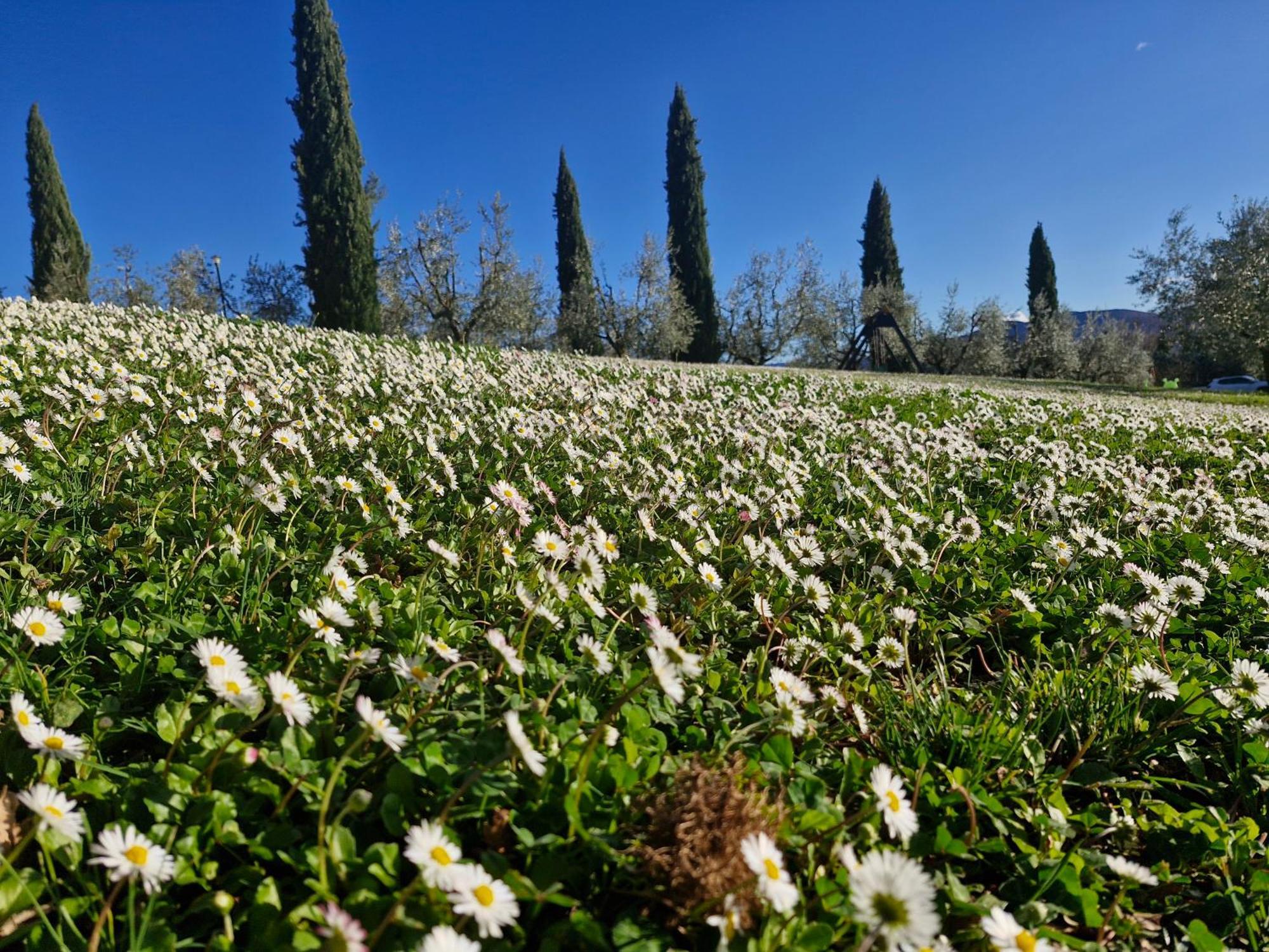 Agriturismo Val Della Pieve Anghiari Exterior photo