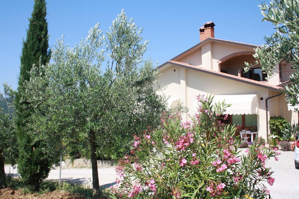 Agriturismo Val Della Pieve Anghiari Exterior photo